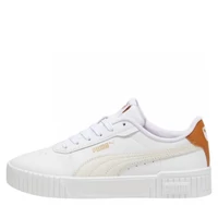 38584930 Puma