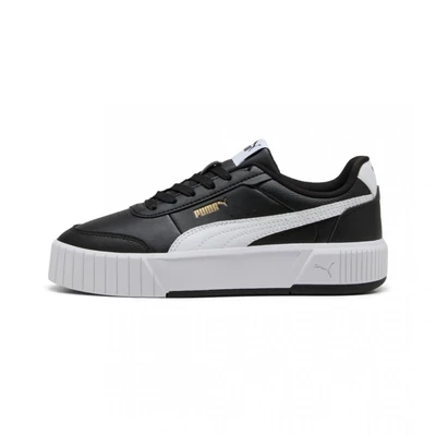 40263701 Puma