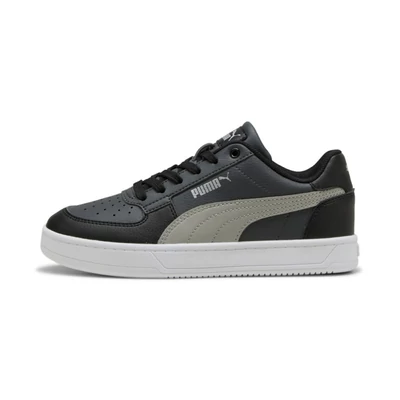 39383758 Puma