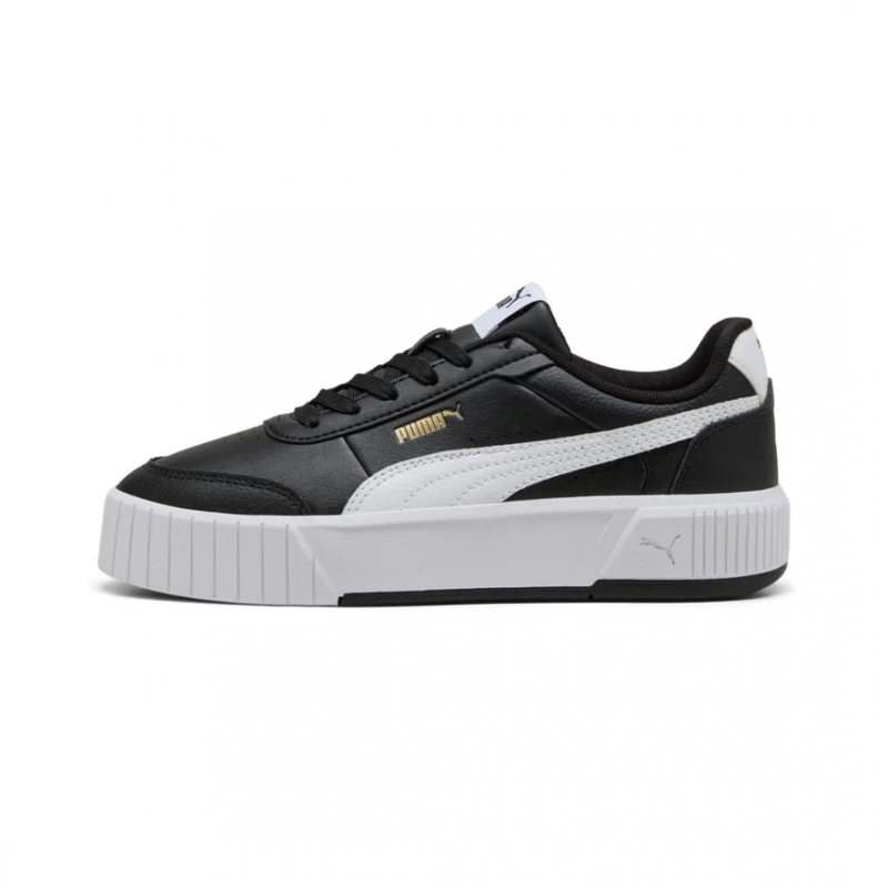 40263701 Puma