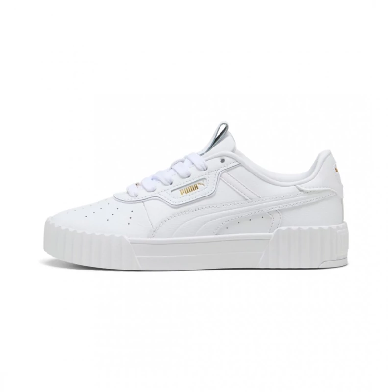 40072401 Puma