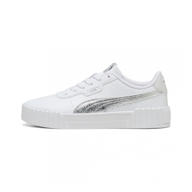 40451101 Puma
