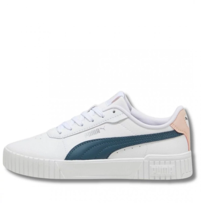 38584931 Puma