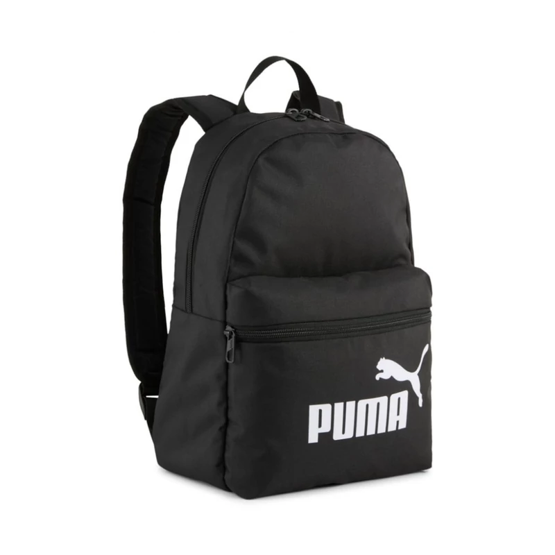 09132301 Puma