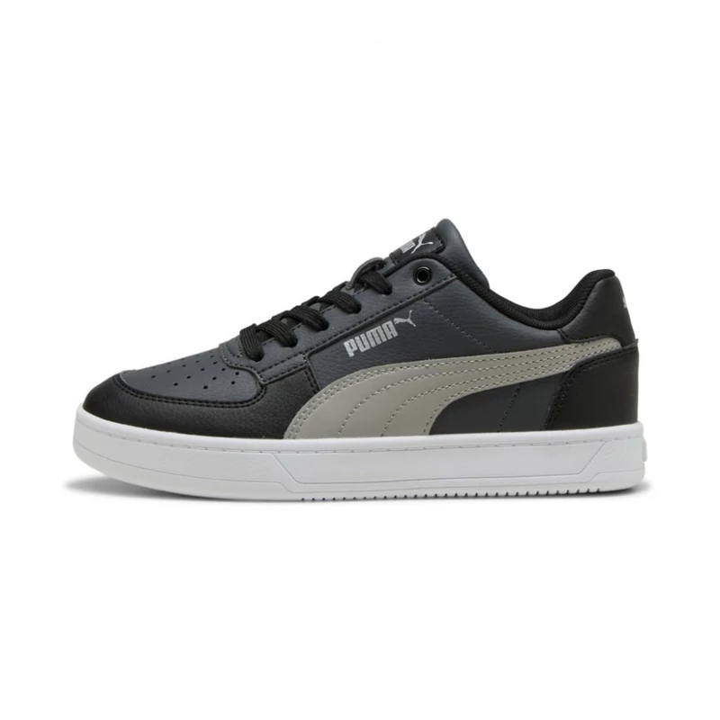 39383758 Puma