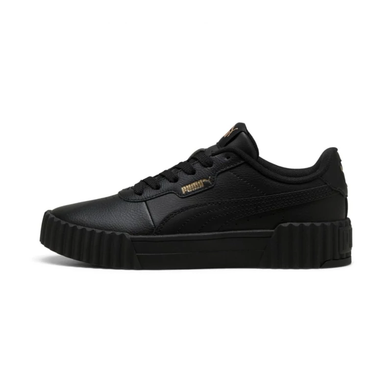 40147602 Puma