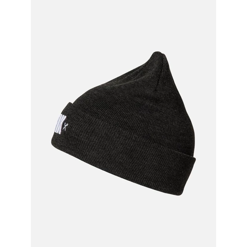 ERA BEANIE